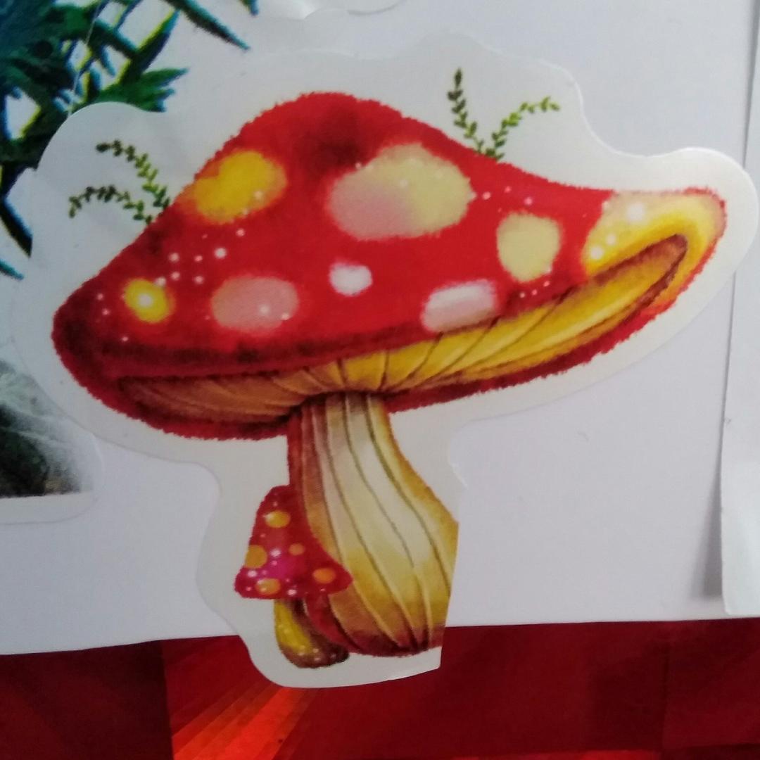 风中一朵摇曳的蓝莲花
