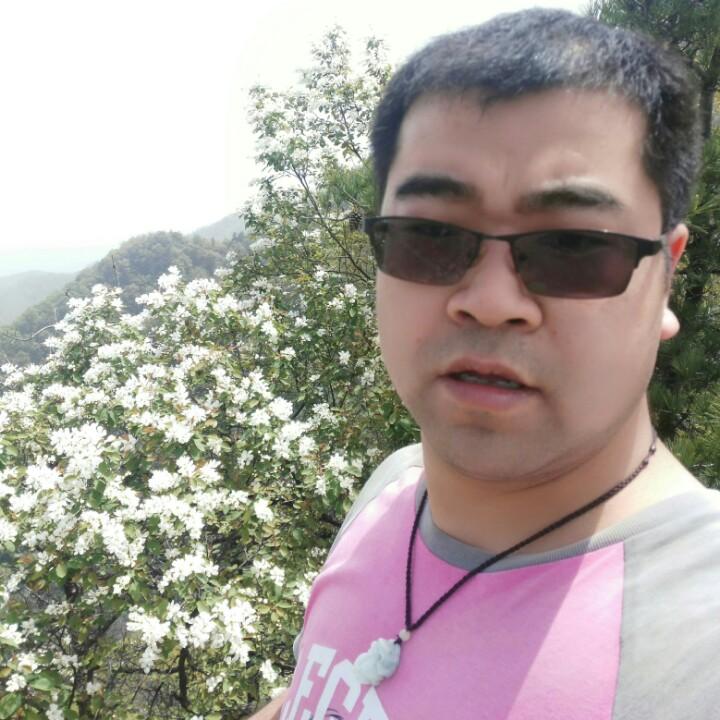 倔强的梦想