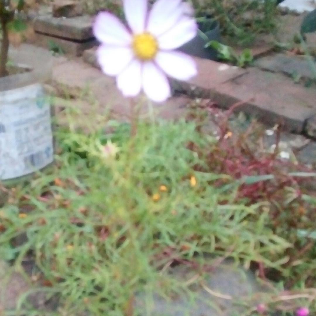 清风白云细雨