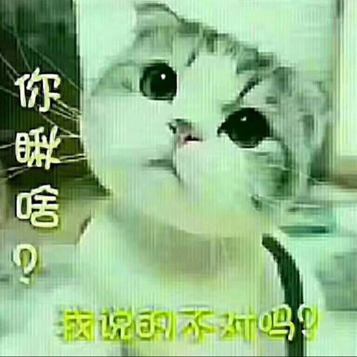 得瑟爱咋咋地