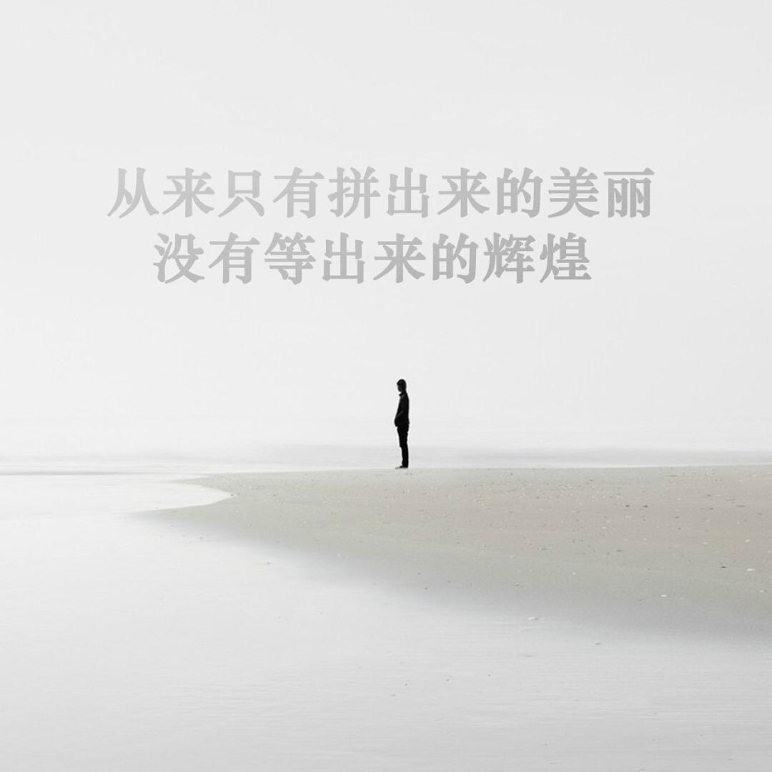 Mr丶辰逸