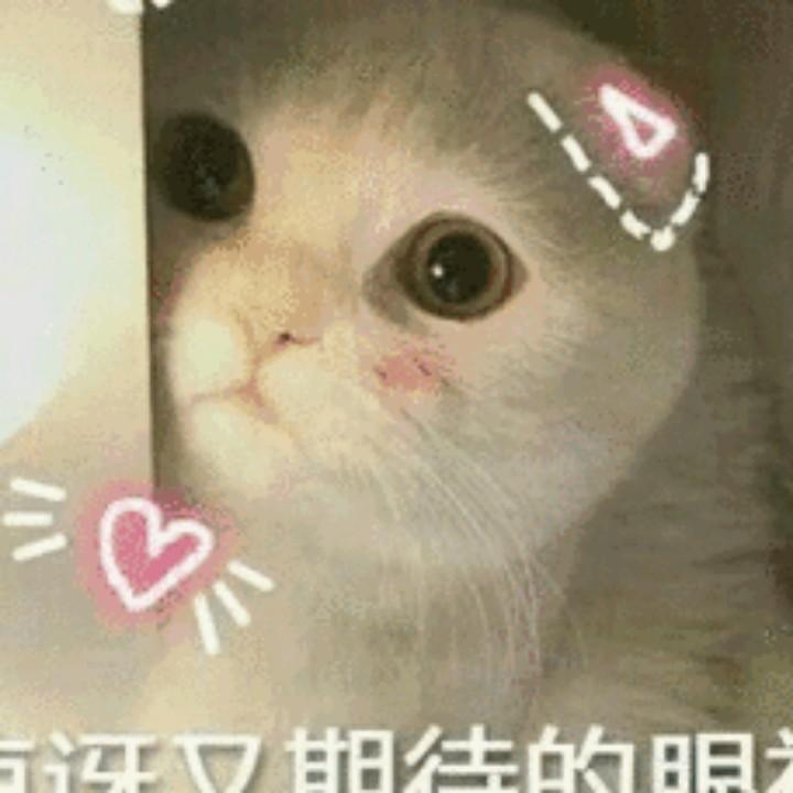 Anney芬