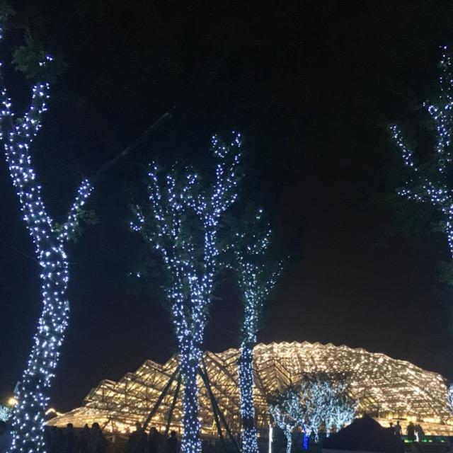 左｜右