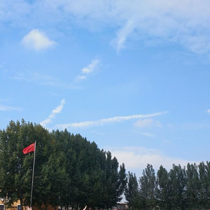 送心心的毛毛虫