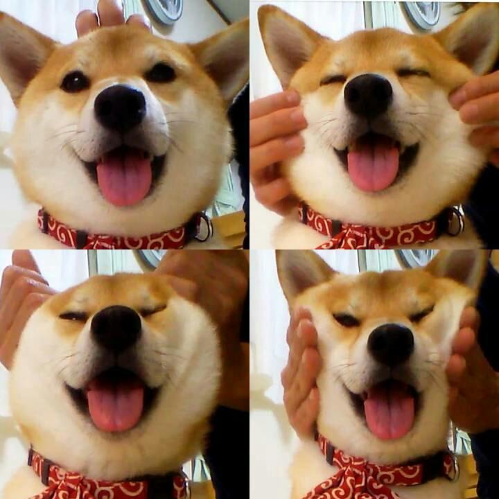 拖