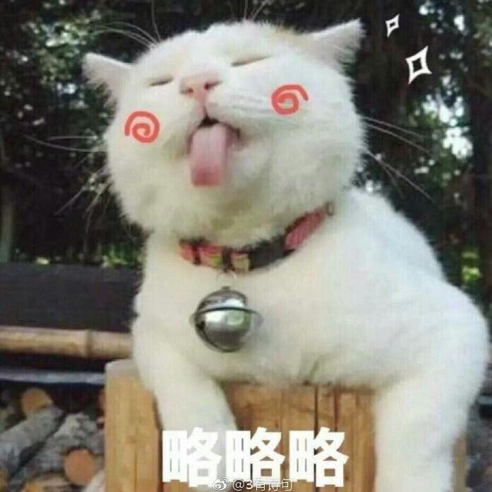 初见 .