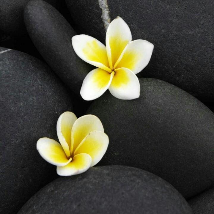 雨后彩虹