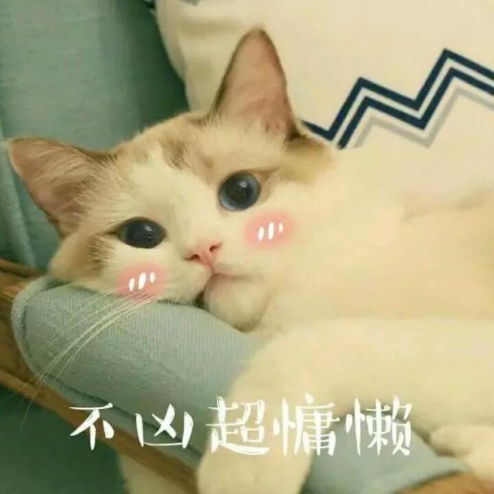 大可爱喵喵ฅ^•ﻌ•^ฅ