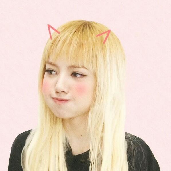苞谷