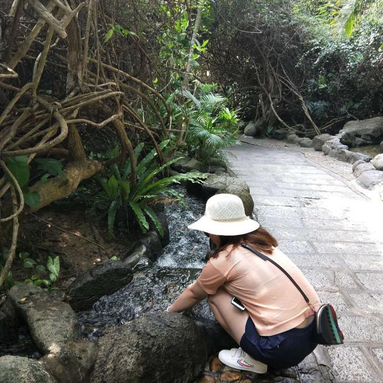 哆啦A梦的梦🌼