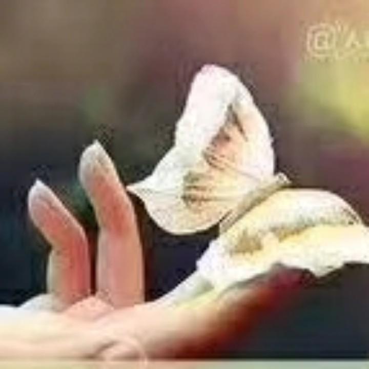 平安健康最重要