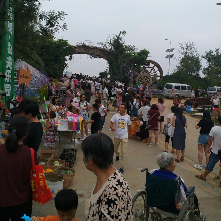 姚少主2