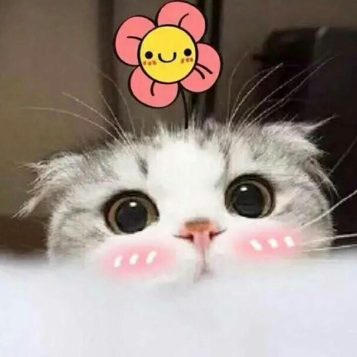 相相啊～～