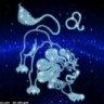 Leo强♌️
