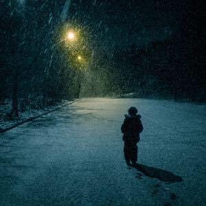 忽如一夜春风来