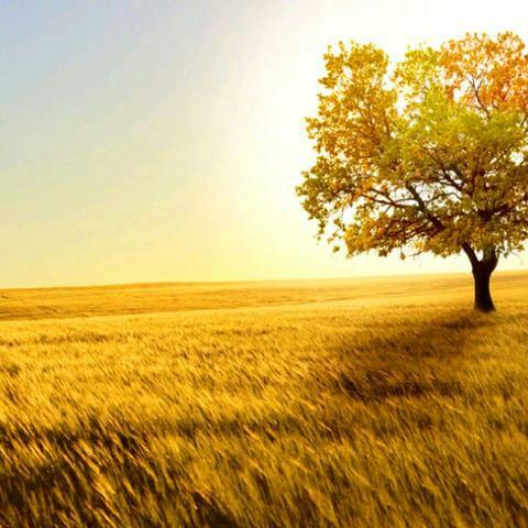 明天更美好(请别连赞)