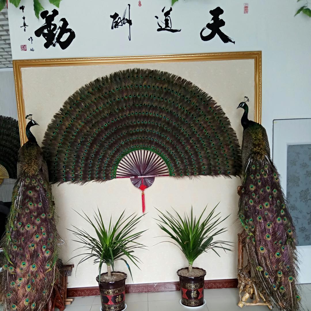 鸿心缘