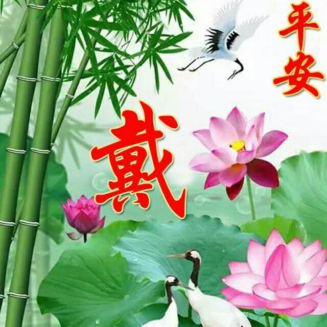 唐河一哥