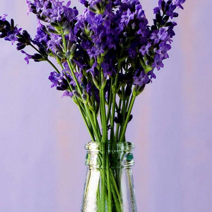 悠悠💕