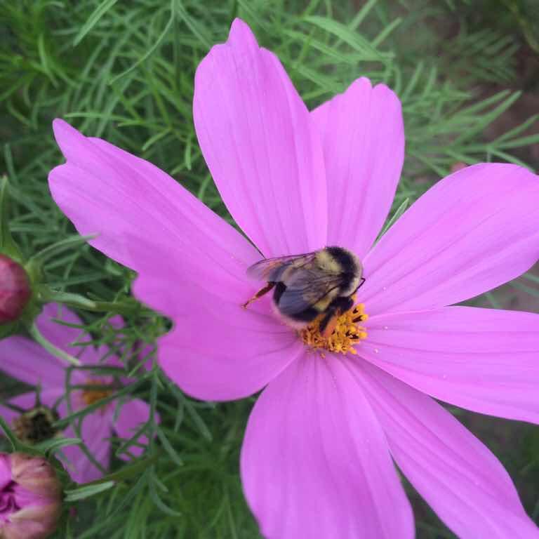 顺其自然_247693102