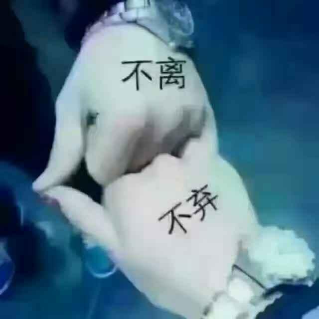 骑着鲤鱼跃龙门