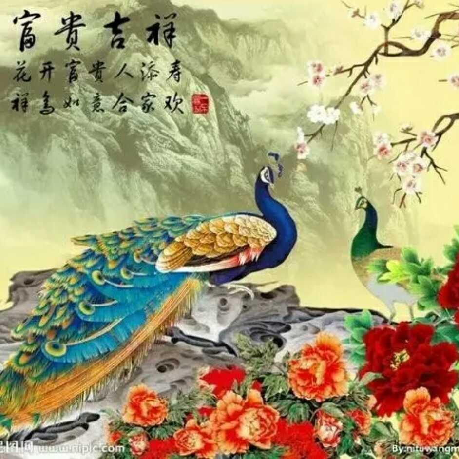 富子老爷们