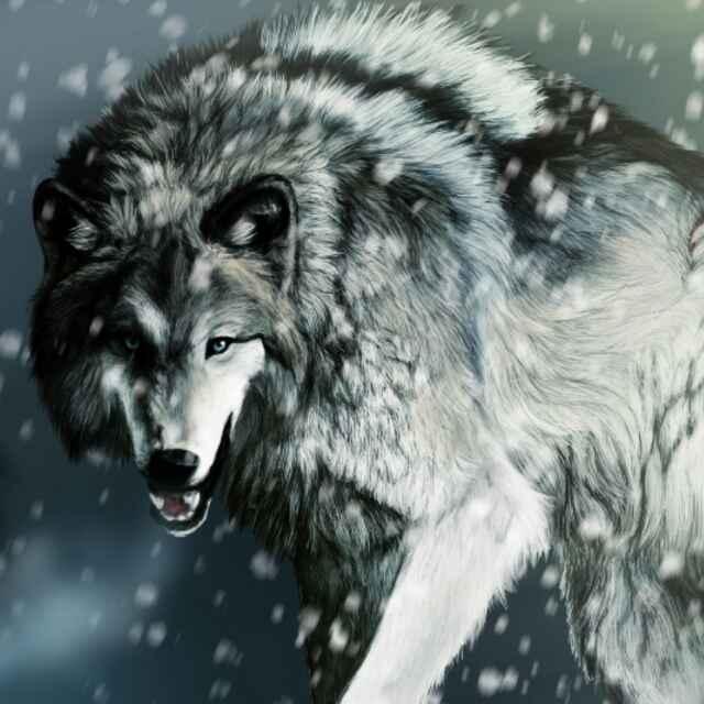 简单的歌_250330523