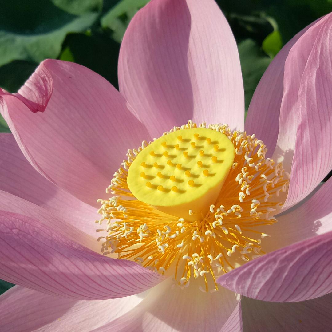 沉默如我