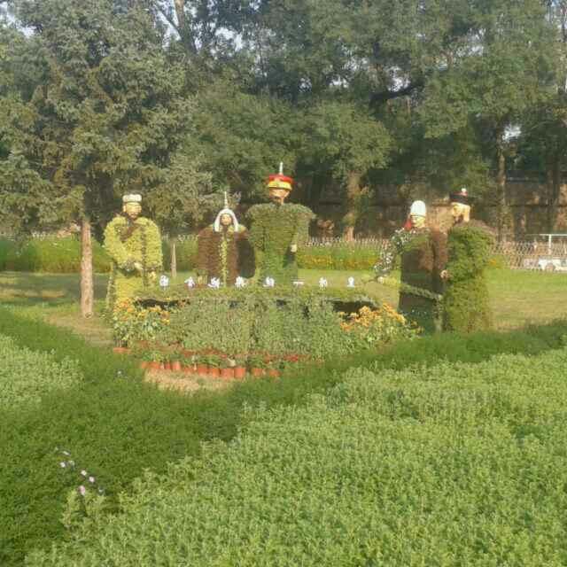 两战友全中国出车记