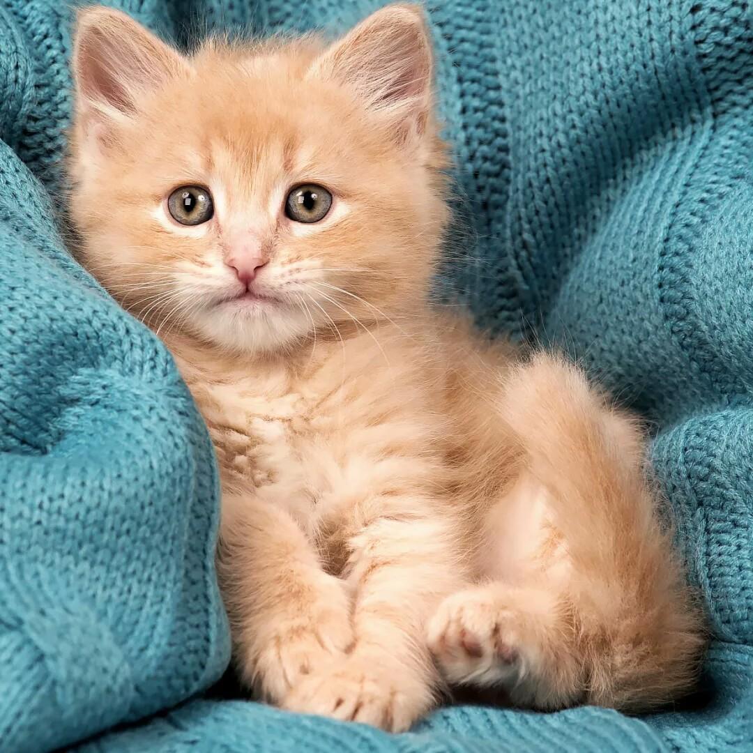 一个人坐在河边