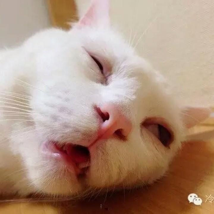 谷大