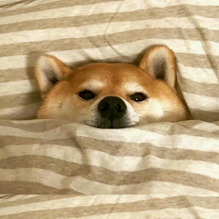 常师傅烧烤炖锅海鲜