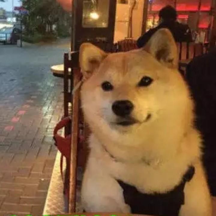 被窝哲学家