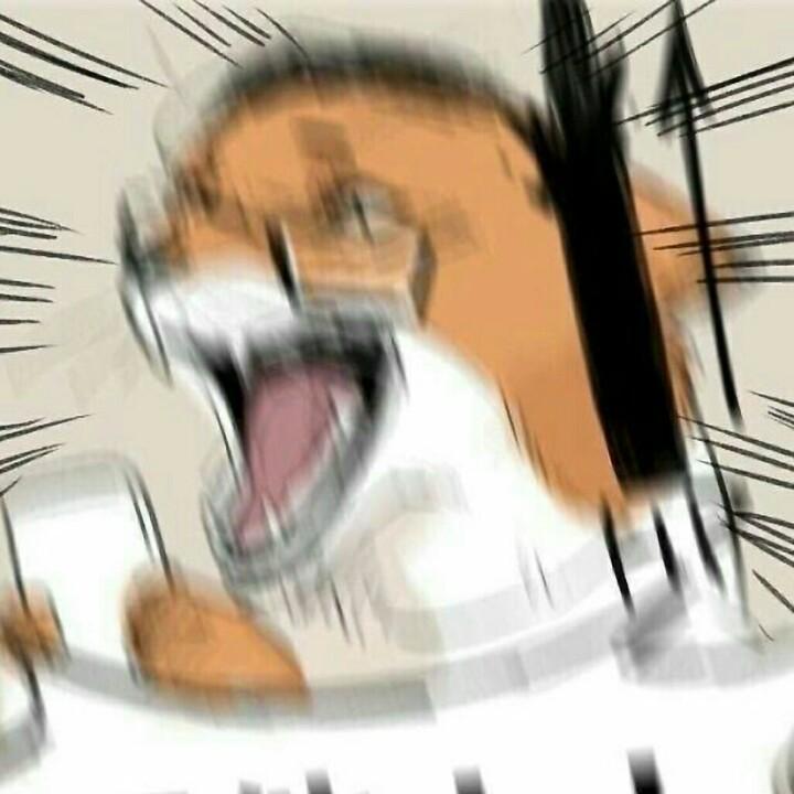 qzuser