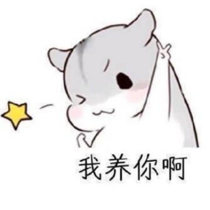 大  志
