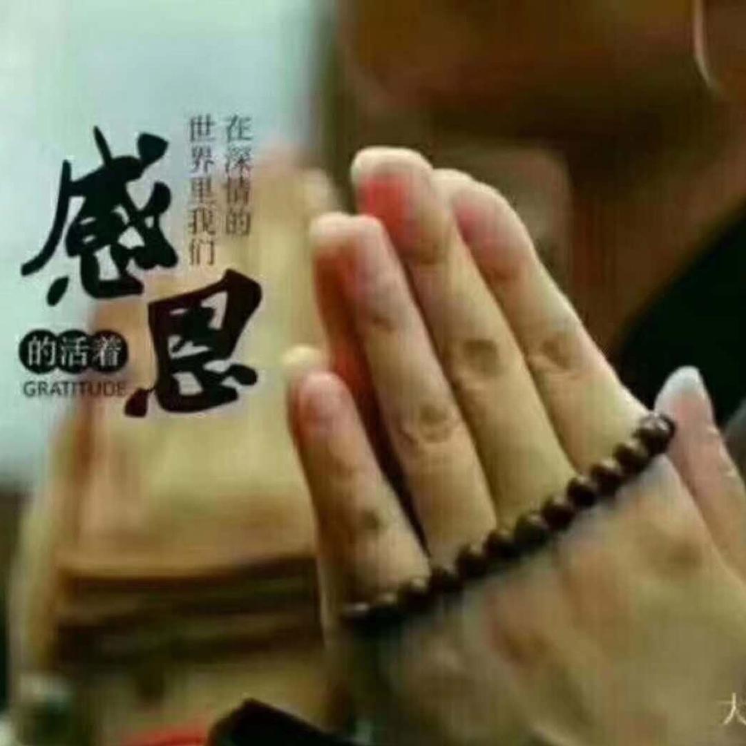 富程阳光