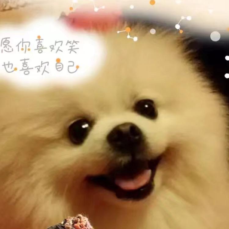 丁点美俊