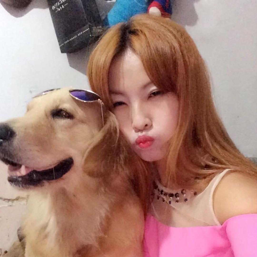 金毛艾迪粑🐶