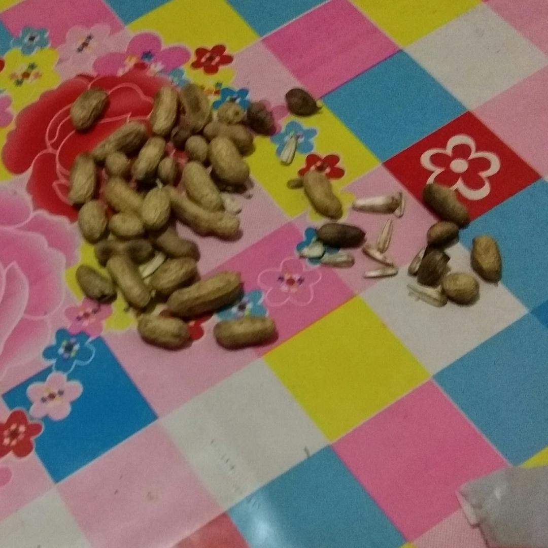 智慧_2515800