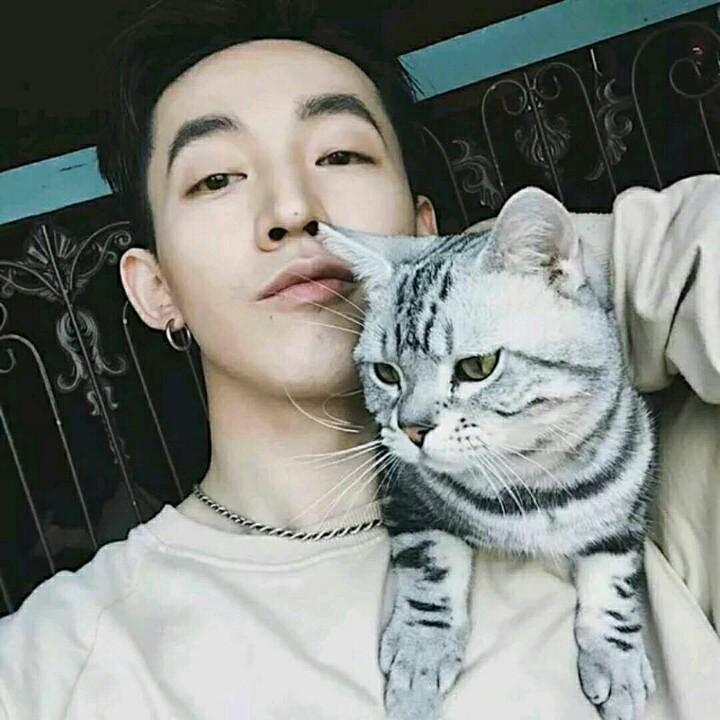 木法鲨🦈