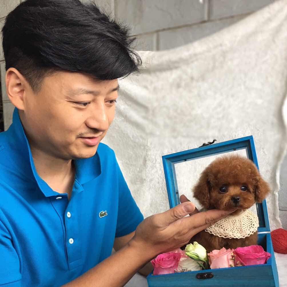 西安曲江新区水晶狗萌宠用品馆