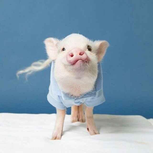 ღ᭄ꦿ余笙ꦿꦿᮨ້໌不动情ꦿ