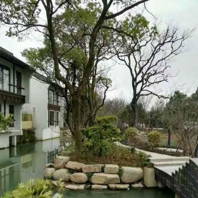 中年大叔