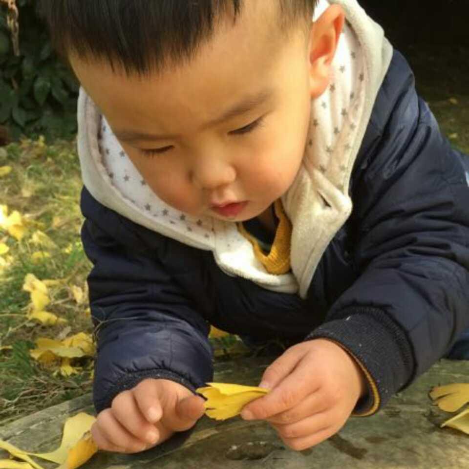 哦！