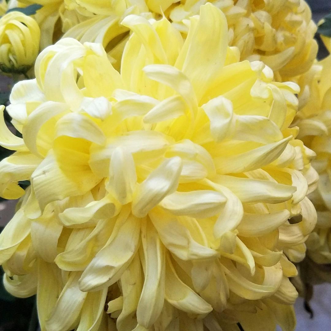 依依妈妈日常🏃️🏃️🏃