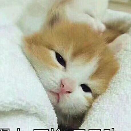李师