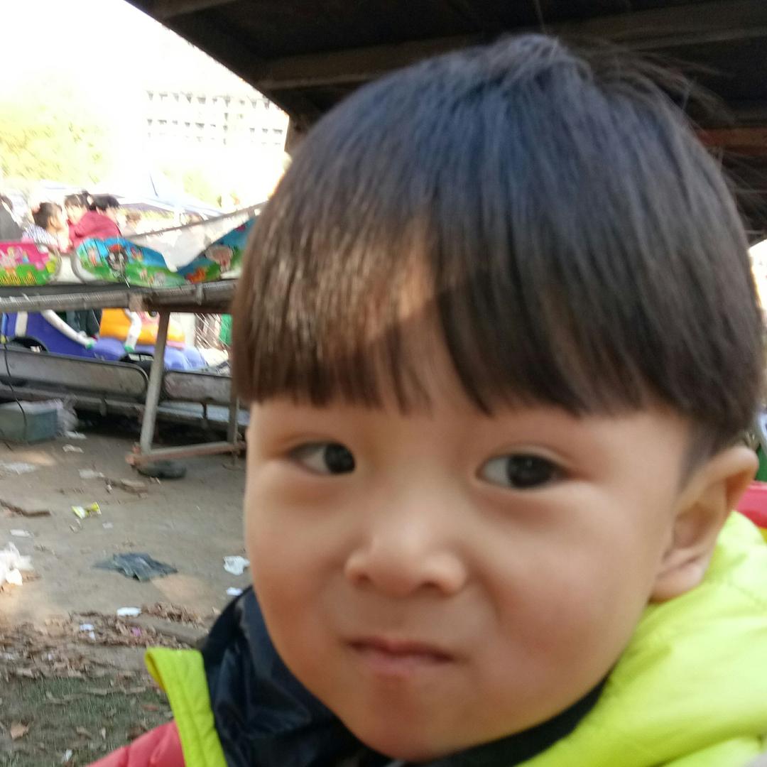 武强安家贾姐