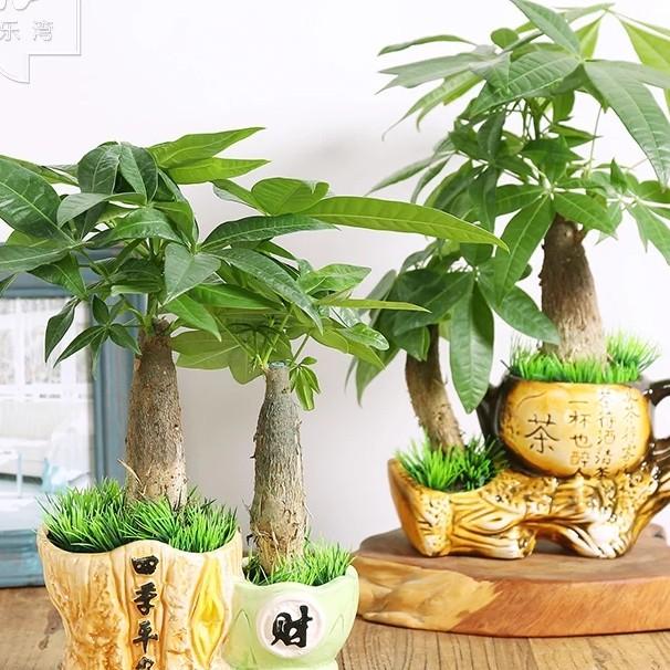 五花🌸八门的作品
