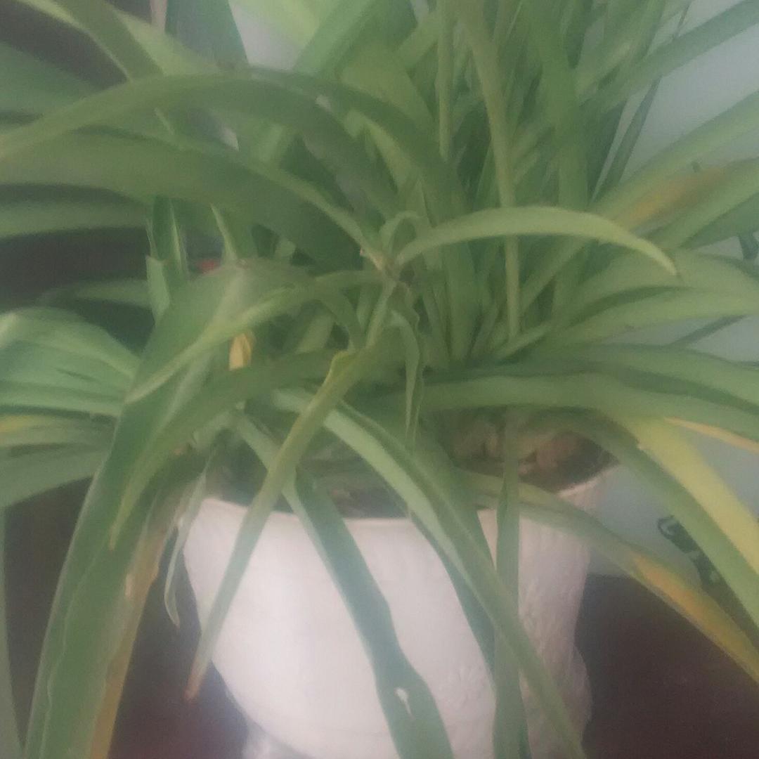 武姐正能量