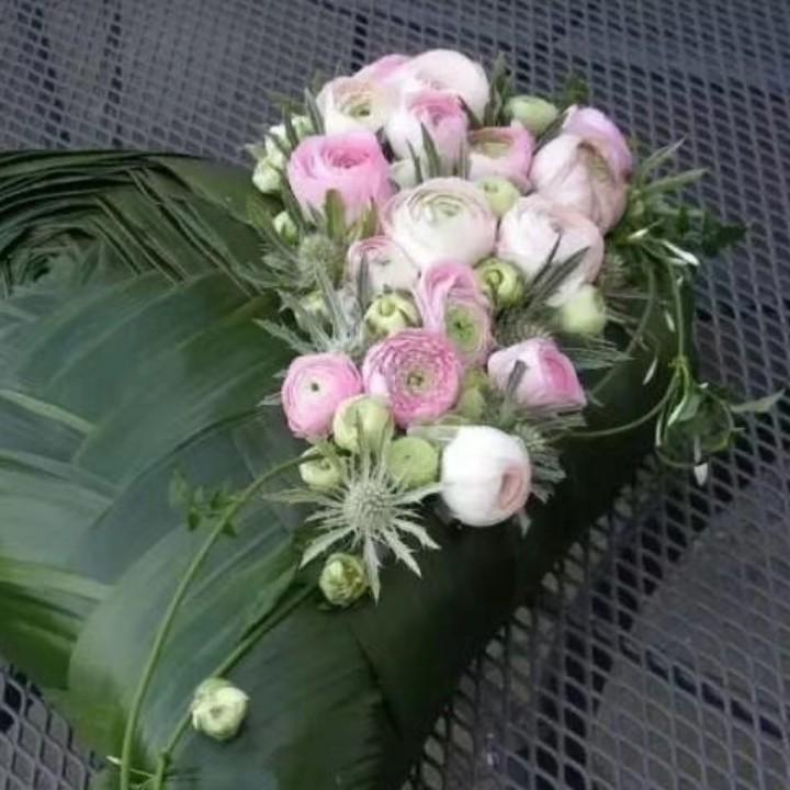 抖抖